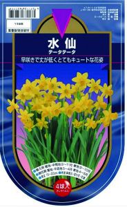 ミニ水仙 テータテータ 3球入 Sunday サンデーネットショップ