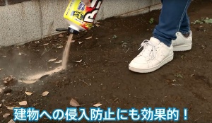 住友化学園芸 アリアトール粉剤 660g【殺虫剤】 | SUNDAY サンデー ...