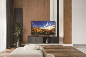 アイリスオーヤマ 4kチューナー内蔵液晶テレビ 55v型 55xub30 ブラック Sunday サンデーネットショップ