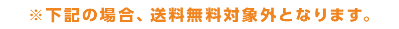 ※下記の場合、送料無料対象外となります